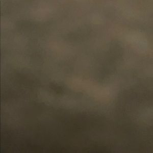 Meet your Posher, Joey